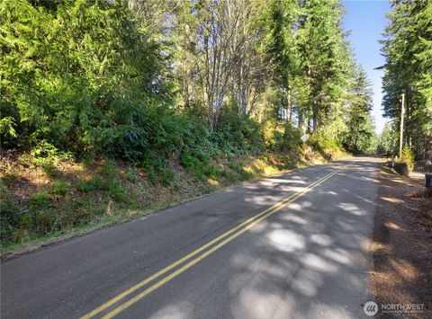 Photo of 1671 E Phillips Lake Loop Road, Shelton, WA 98584 (MLS # 2427989)