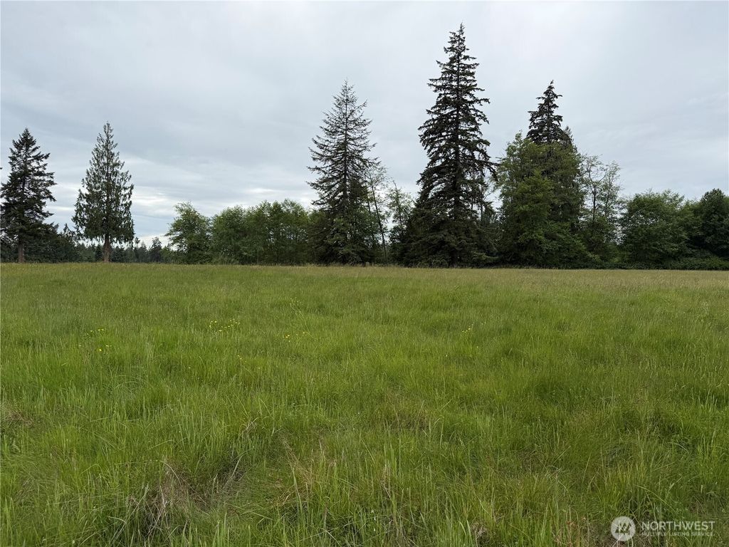 Photo of 28915 3rd Avenue NE, Stanwood, WA 98292 (MLS # 2557592)