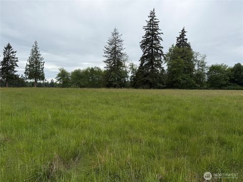 Photo of 28915 3rd Avenue NE, Stanwood, WA 98292 (MLS # 2557592)