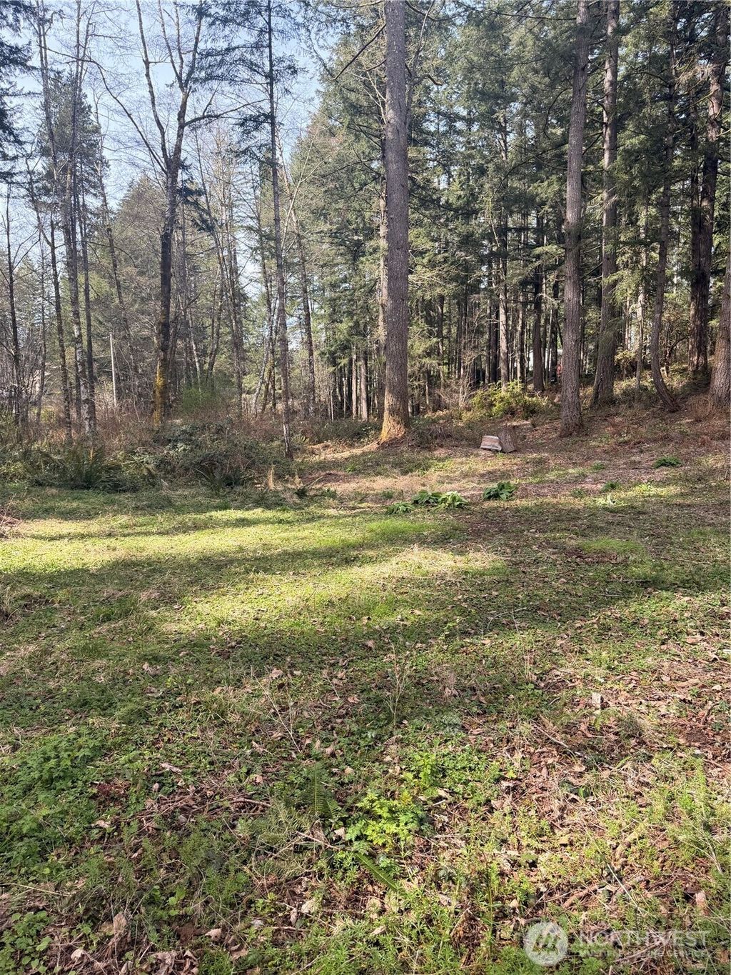 Photo of 7688 SW Grace Street, Port Orchard, WA 98107 (MLS # 2499672)