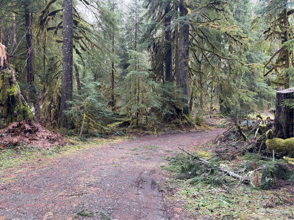 Photo of 0 Whitton Avenue, Granite Falls, WA 98252 (MLS # 2325644)