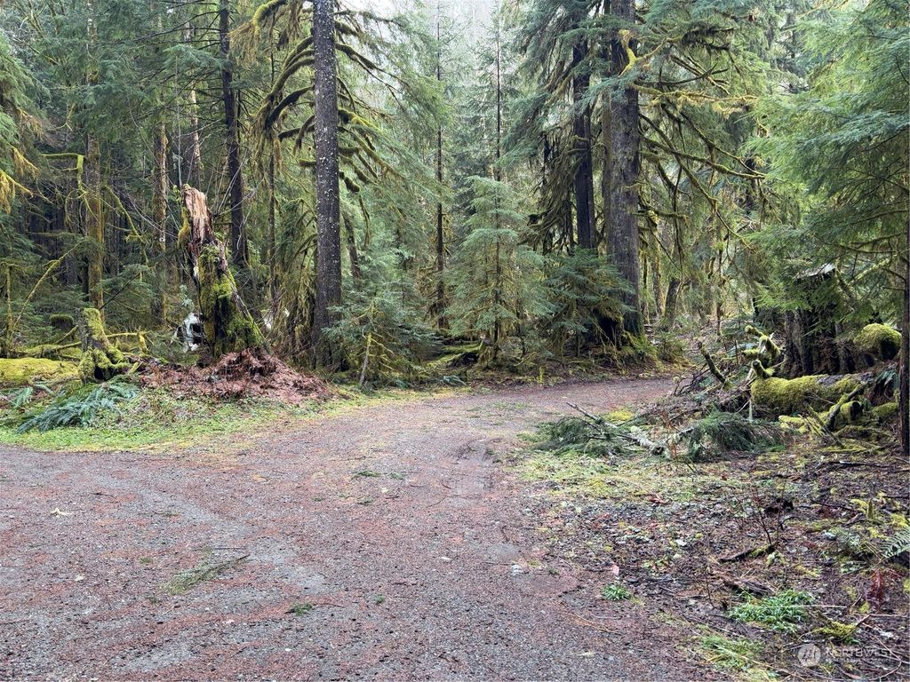 Photo of 0 Whitton Avenue, Granite Falls, WA 98252 (MLS # 2325644)