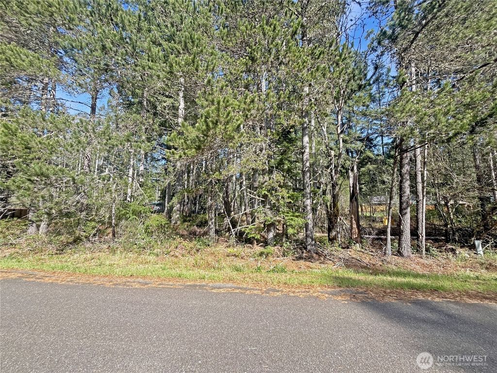 Photo of 21 N Varden Way, Hoodsport, WA 98548 (MLS # 2515032)