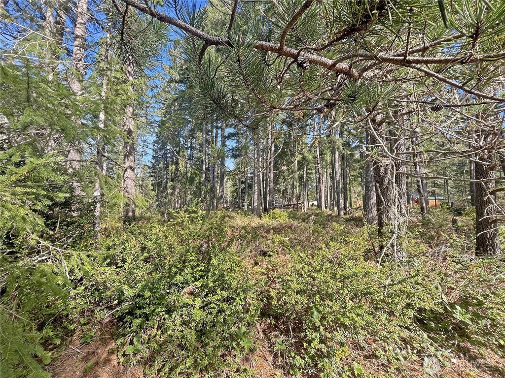 Photo of 21 N Varden Way, Hoodsport, WA 98548 (MLS # 2515032)