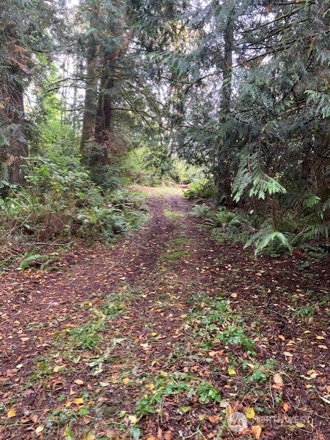 Photo of 17004 74th Street NW, Vaughn, WA 98394 (MLS # 2588706)