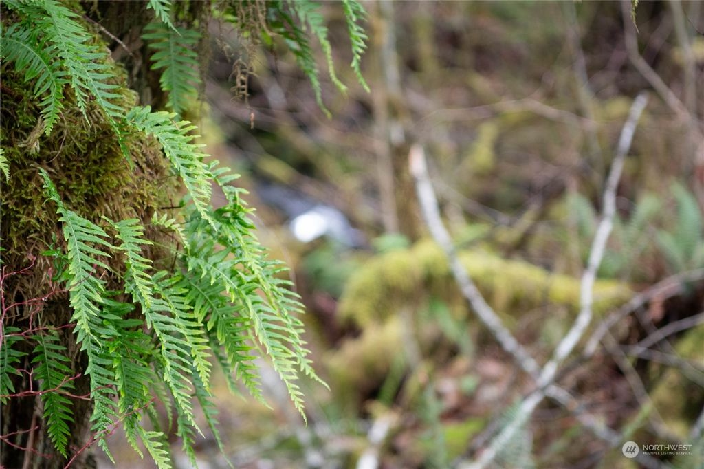 Photo of 21812 Payton Creek Road, Gold Bar, WA 98251 (MLS # 2181746)