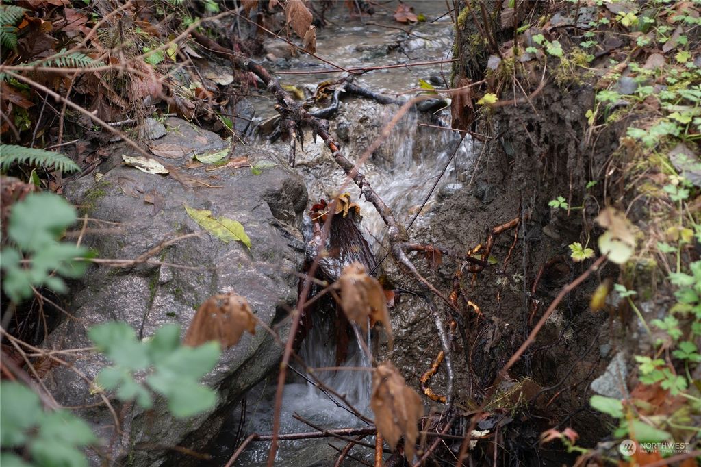 Photo of 21812 Payton Creek Road, Gold Bar, WA 98251 (MLS # 2181746)