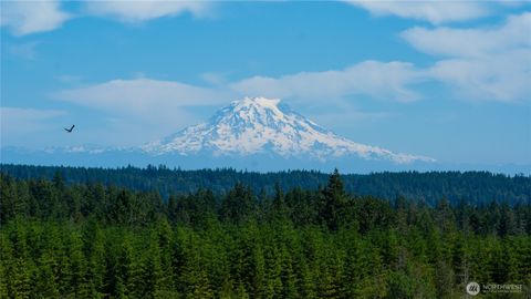1 Cascade View Allyn WA 98524