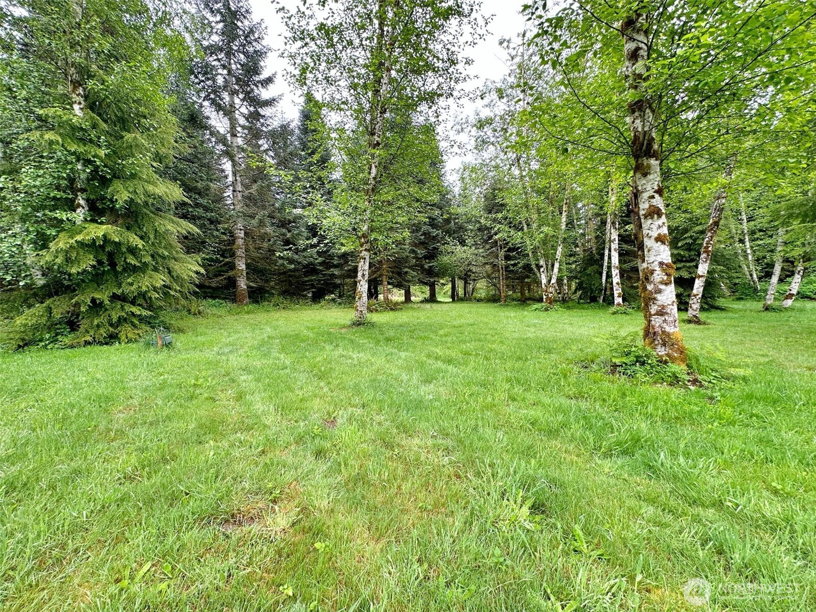 175 Woodsy Lane