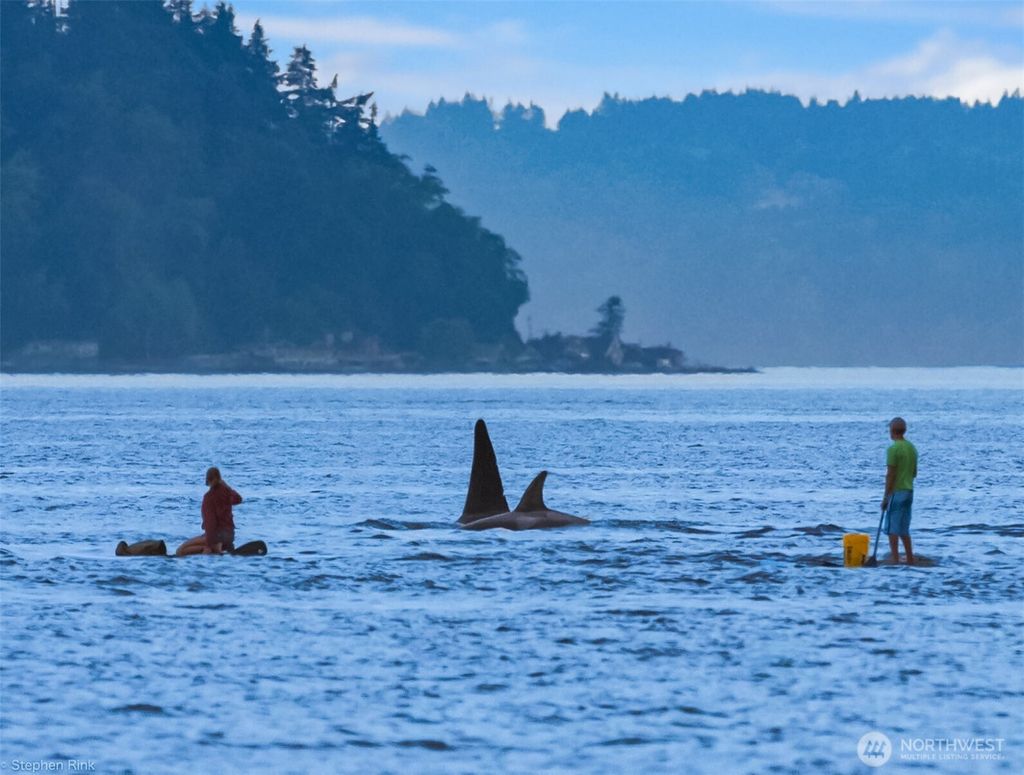 Photo of 6521 Beach Drive SW, Seattle, WA 98136 (MLS # 2506857)