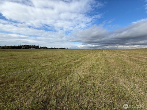 Photo of 0 Bay Rd, Ferndale, WA 98248 (MLS # 2588617)