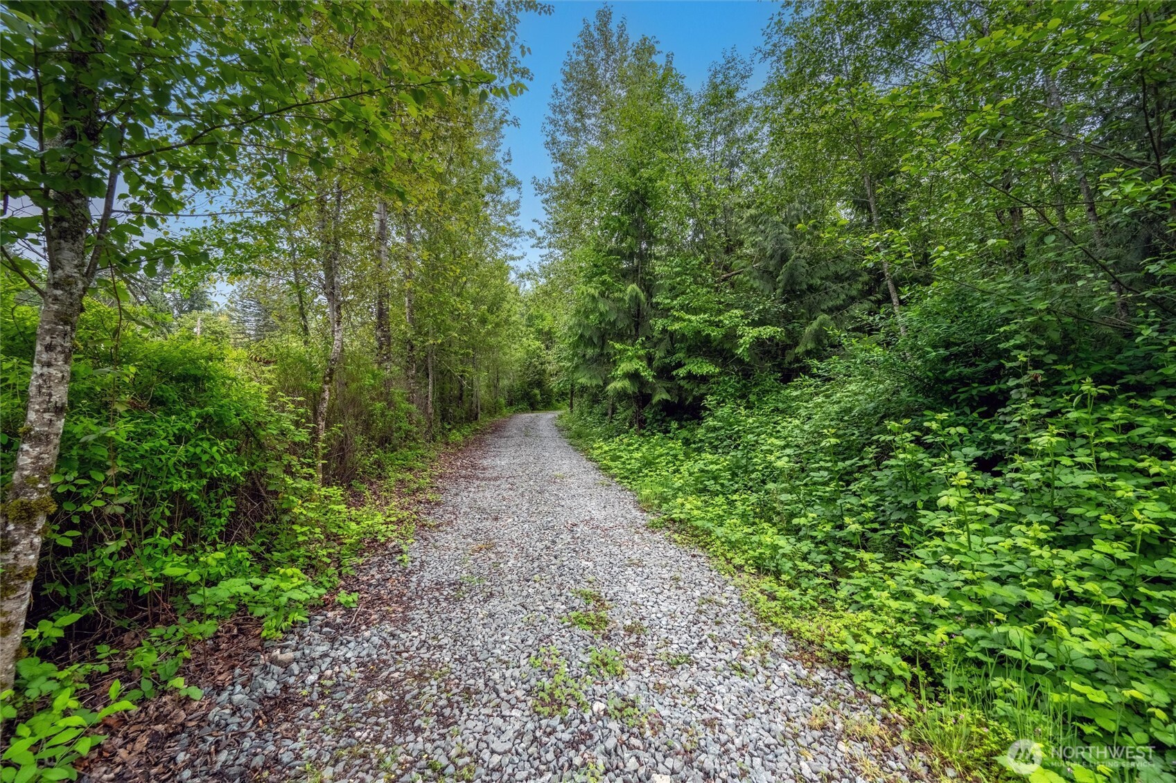 5950 Hoogdal Branch Road