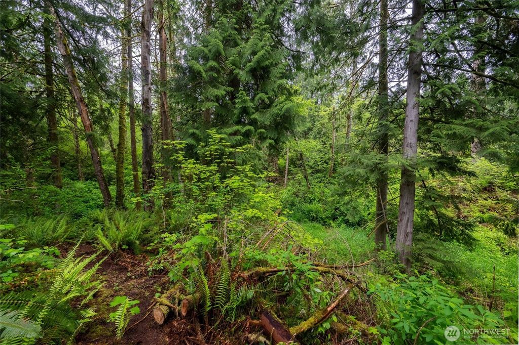 listing image 9364637084147037766