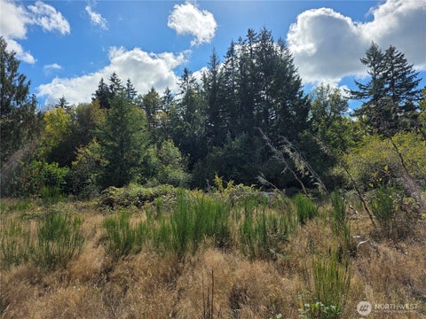 Photo of 400 Marion Street S, Tenino, WA 98589 (MLS # 2586275)