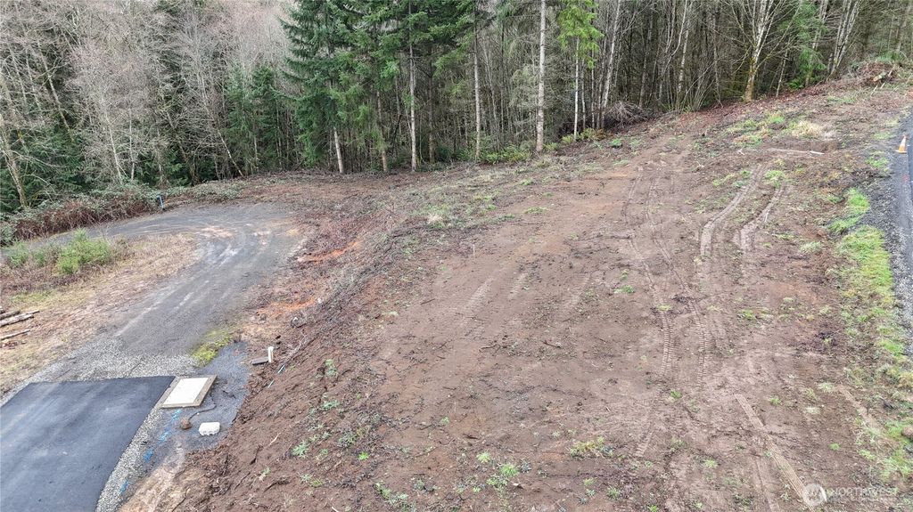 Photo of 275 Livingston Heights Drive, Longview, WA 98632 (MLS # 2471478)