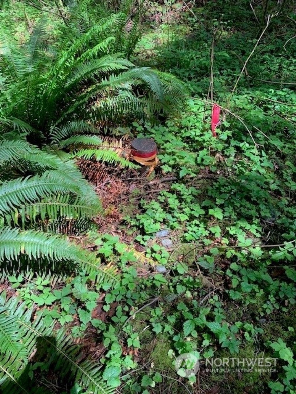 Photo of 148 xx 273rd Avenue SE, Issaquah, WA 98027 (MLS # 2248561)