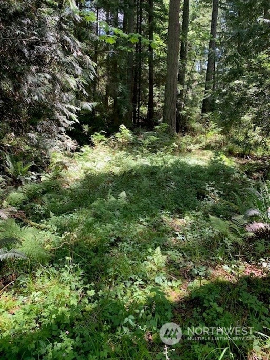 Photo of 148 xx 273rd Avenue SE, Issaquah, WA 98027 (MLS # 2248561)