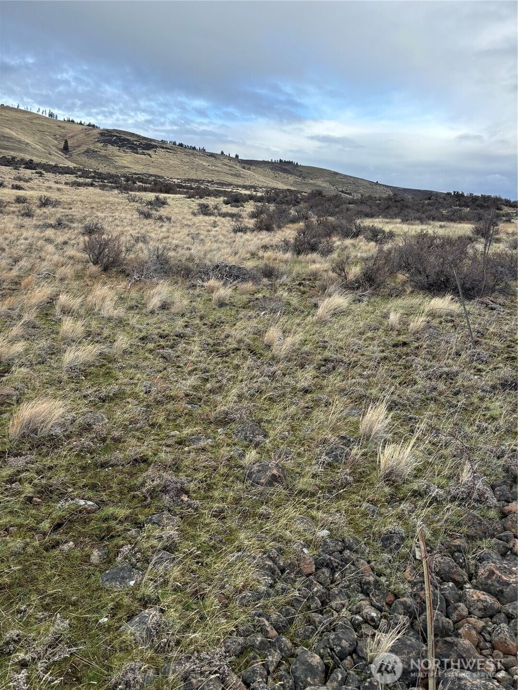 Photo of 0 Chukar Ridge Road, Ellensburg, WA 98926 (MLS # 2461697)