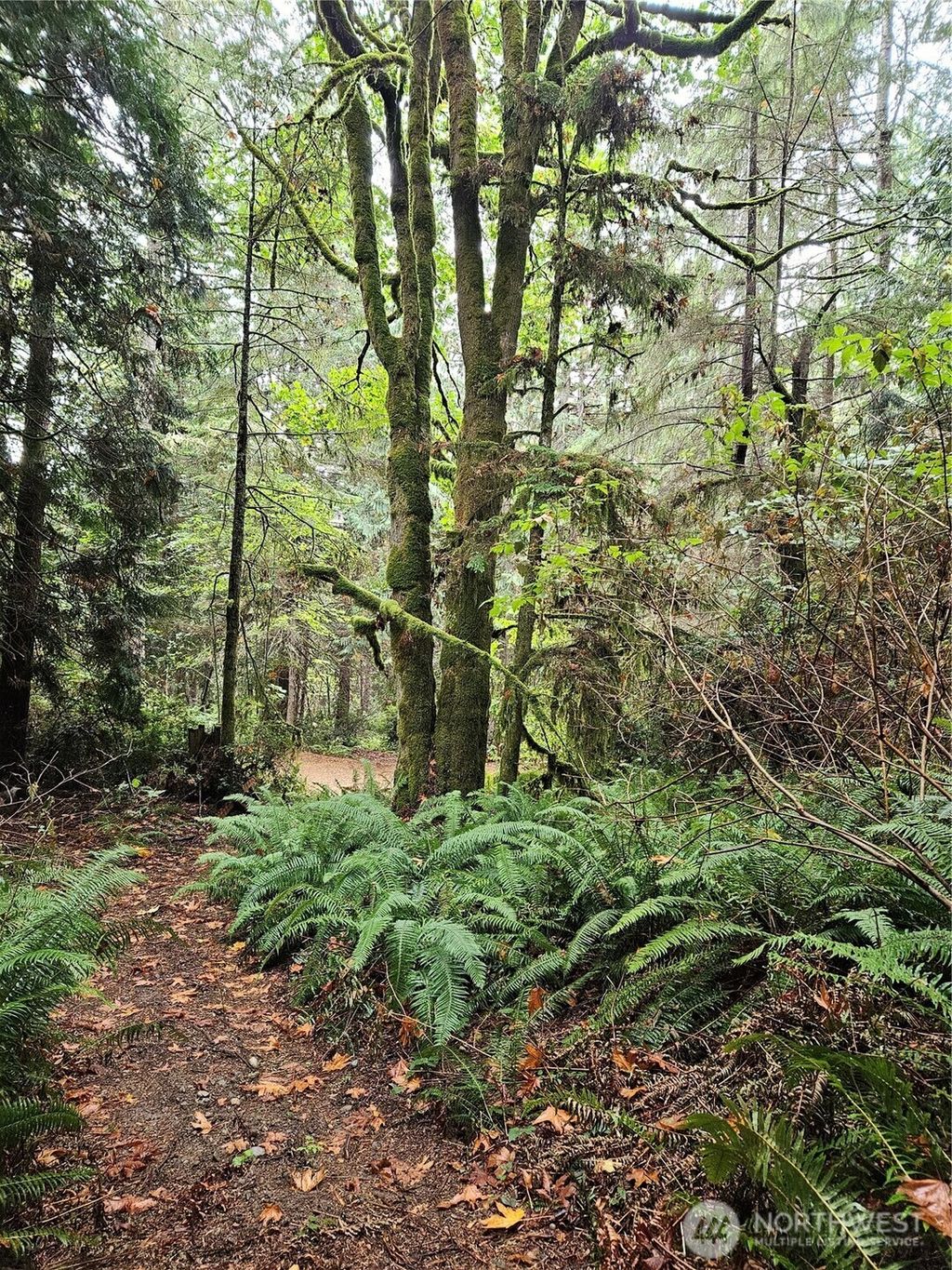 Photo of 225 NKA Dietz Drive, Quilcene, WA 98376 (MLS # 2475489)