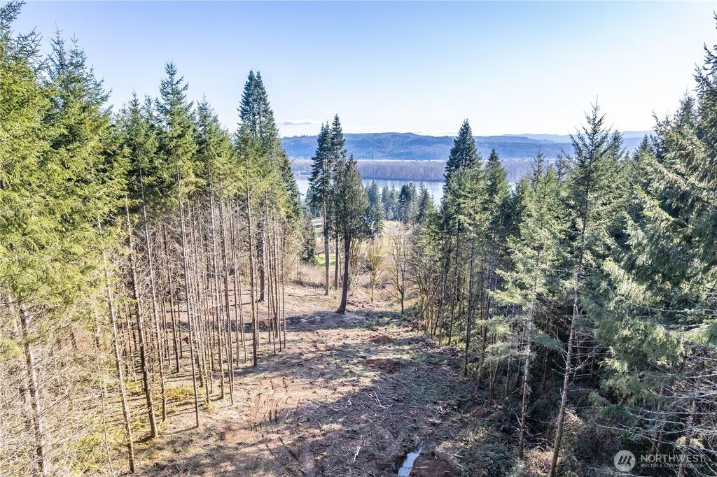Photo of 0 Bunker Hill Road #A, Longview, WA 98632 (MLS # 2483920)