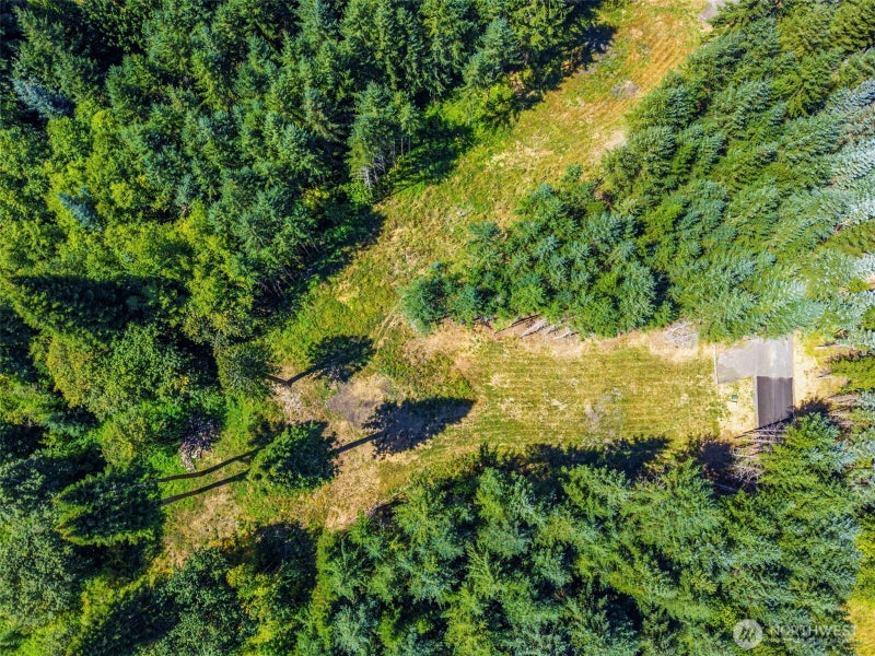 0 Old Tree Farm Drive 1