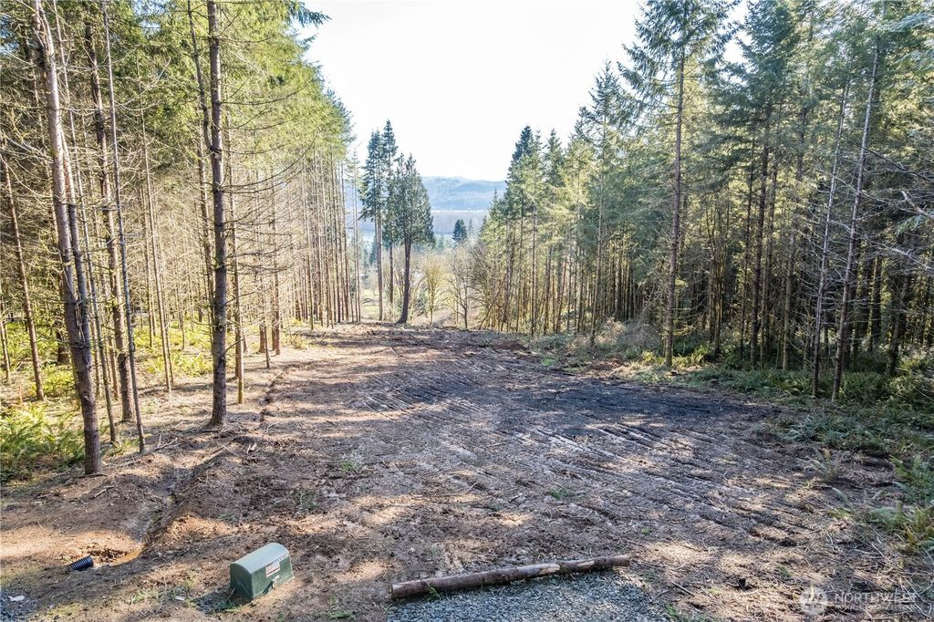 Photo of 0 Bunker Hill Road #A, Longview, WA 98632 (MLS # 2483920)