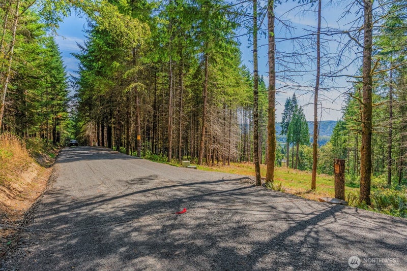 0 Old Tree Farm Drive 1