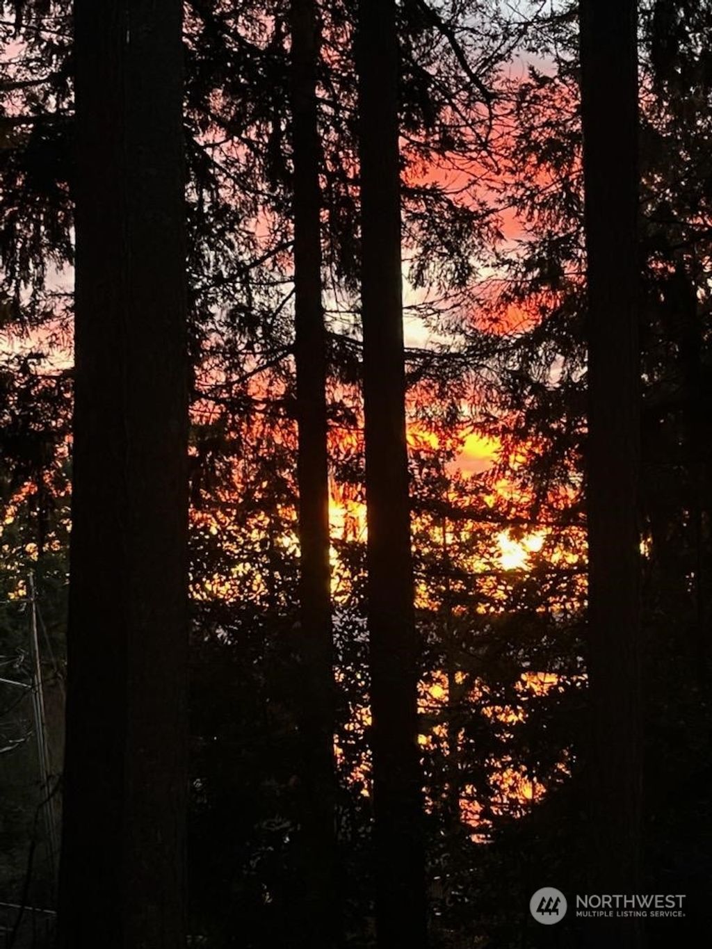 Photo of 1111 207th Place NE, Sammamish, WA 98074 (MLS # 2198981)