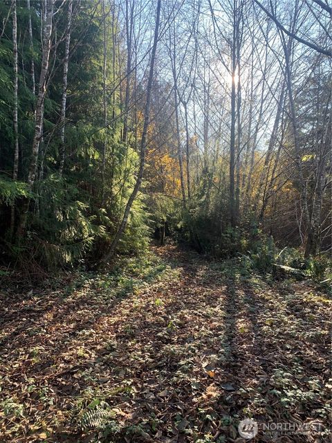 Photo of 3 Tract Parpala Road, Naselle, WA 98638 (MLS # 2357203)