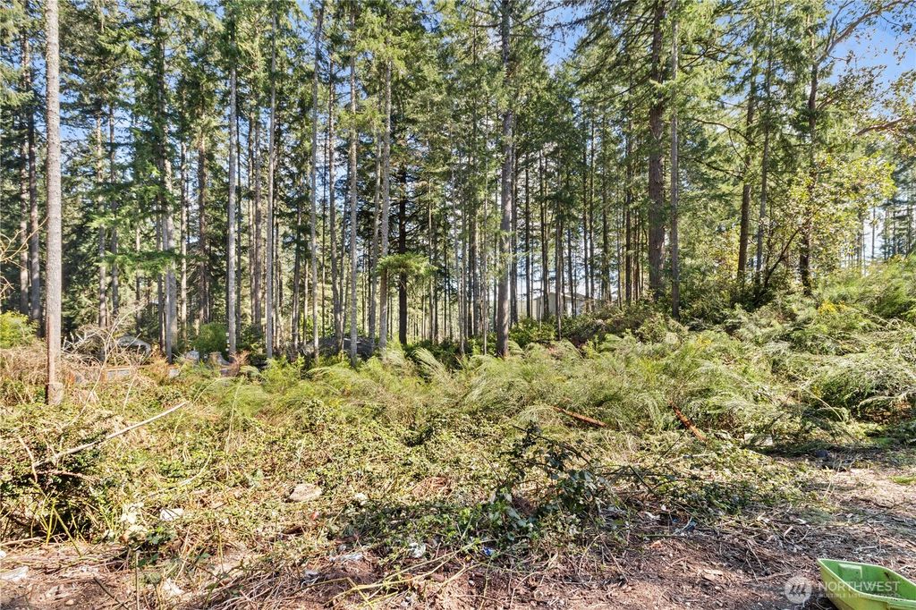 Photo of 19025 SW 23rd St St, Lakebay, WA 98349 (MLS # 2507702)