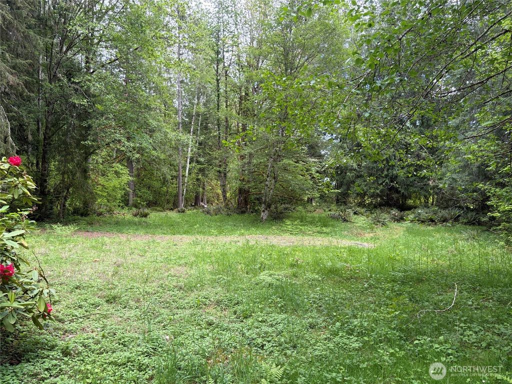Photo of 3263 Duckabush Road, Brinnon, WA 98320 (MLS # 2521279)