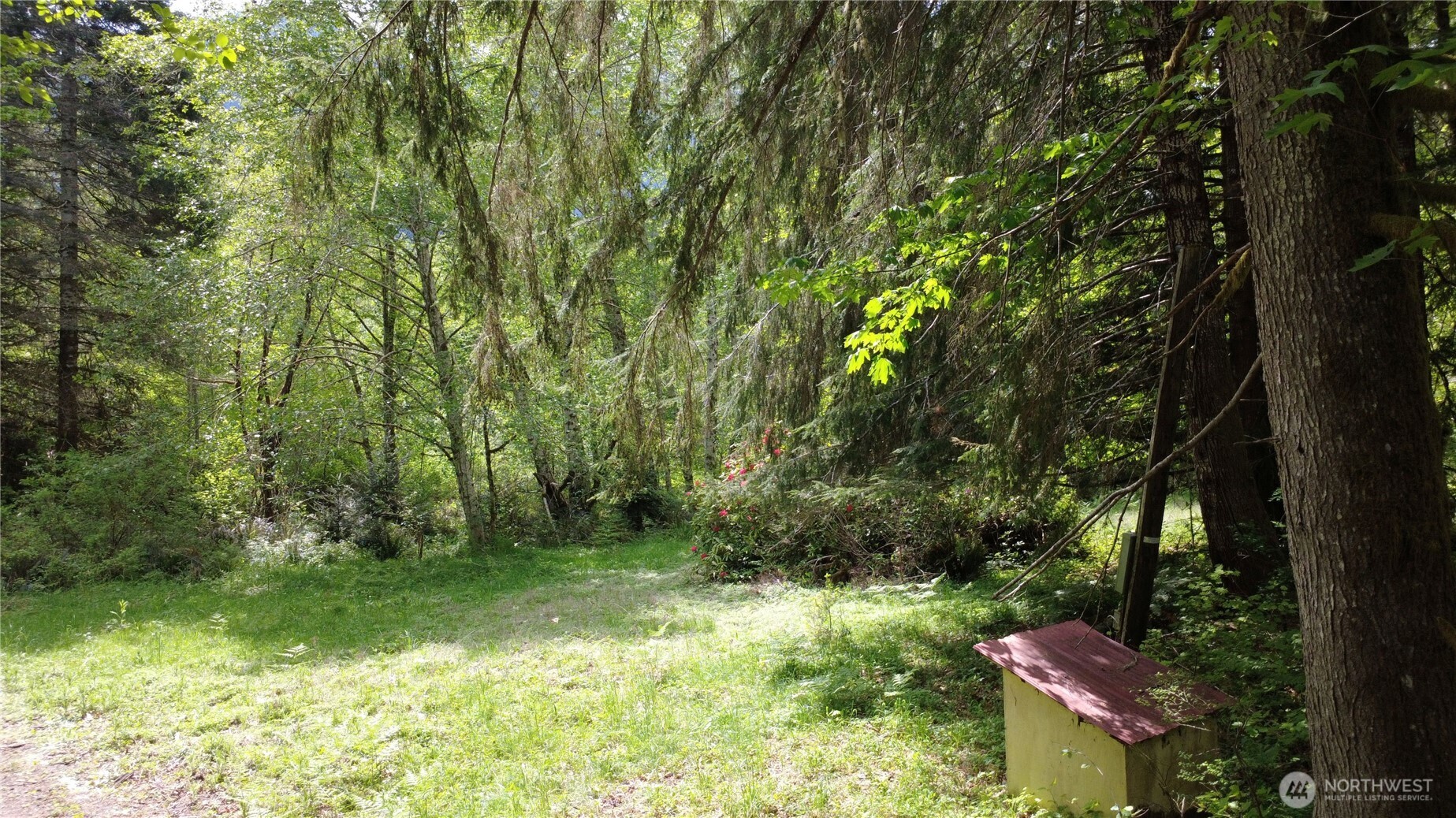 3 Duckabush Road