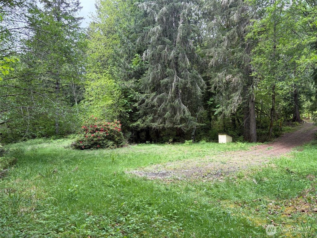 Photo of 3263 Duckabush Road, Brinnon, WA 98320 (MLS # 2521279)
