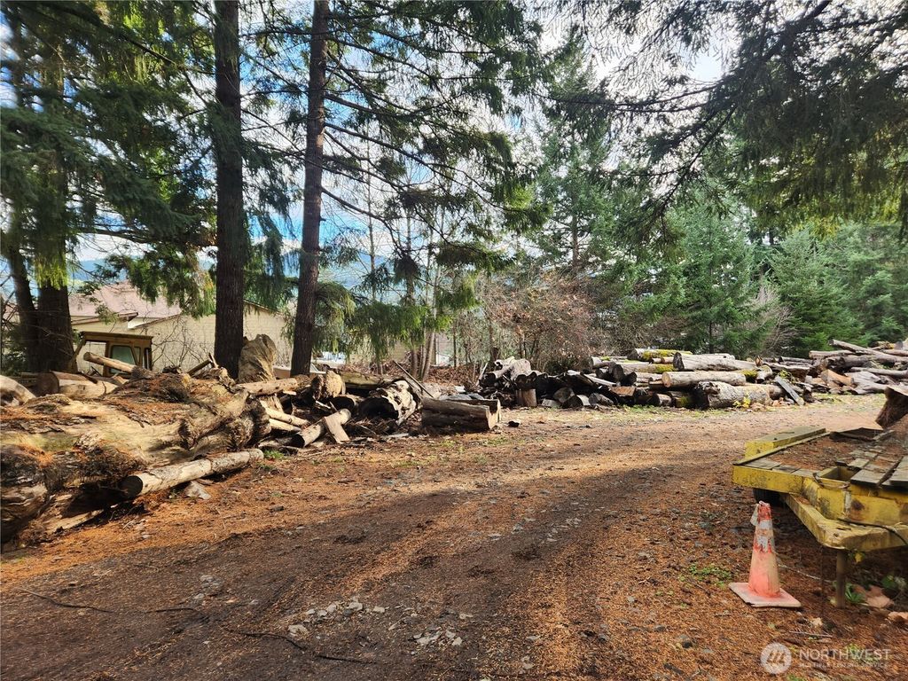 Photo of 125 Edmonds Road, Packwood, WA 98361 (MLS # 2457086)