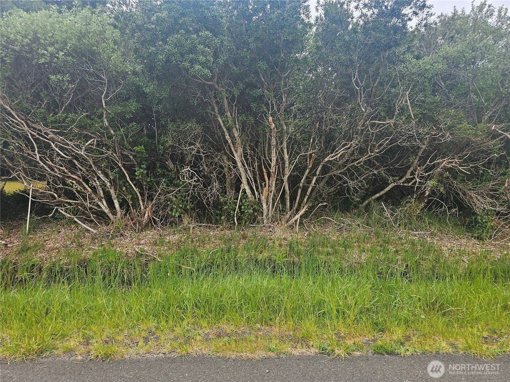 Photo of 1051 Fariwood Drive SW, Ocean Shores, WA 98569 (MLS # 2518528)