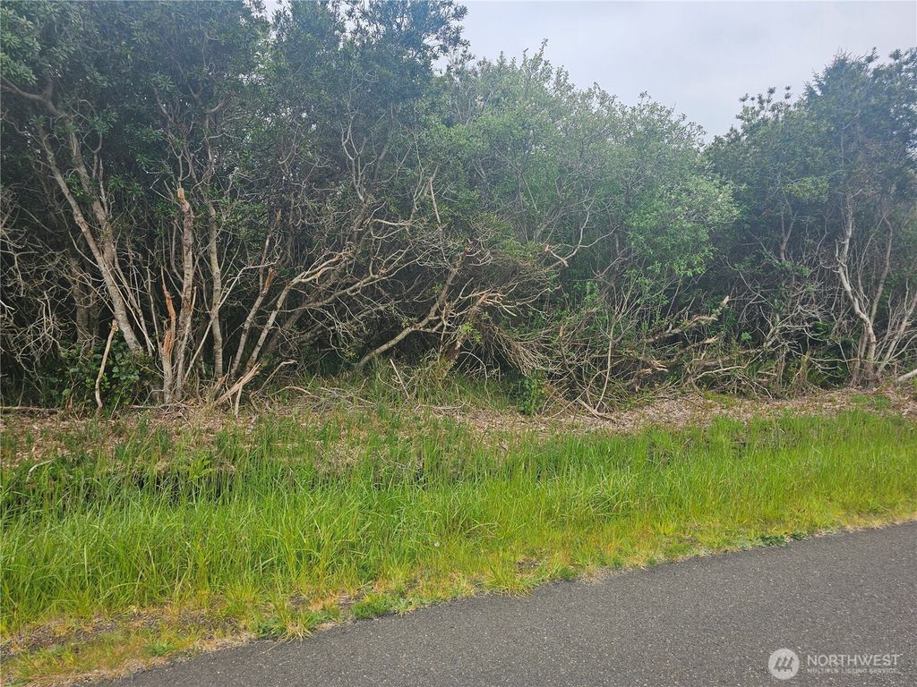 Photo of 1051 Fariwood Drive SW, Ocean Shores, WA 98569 (MLS # 2518528)