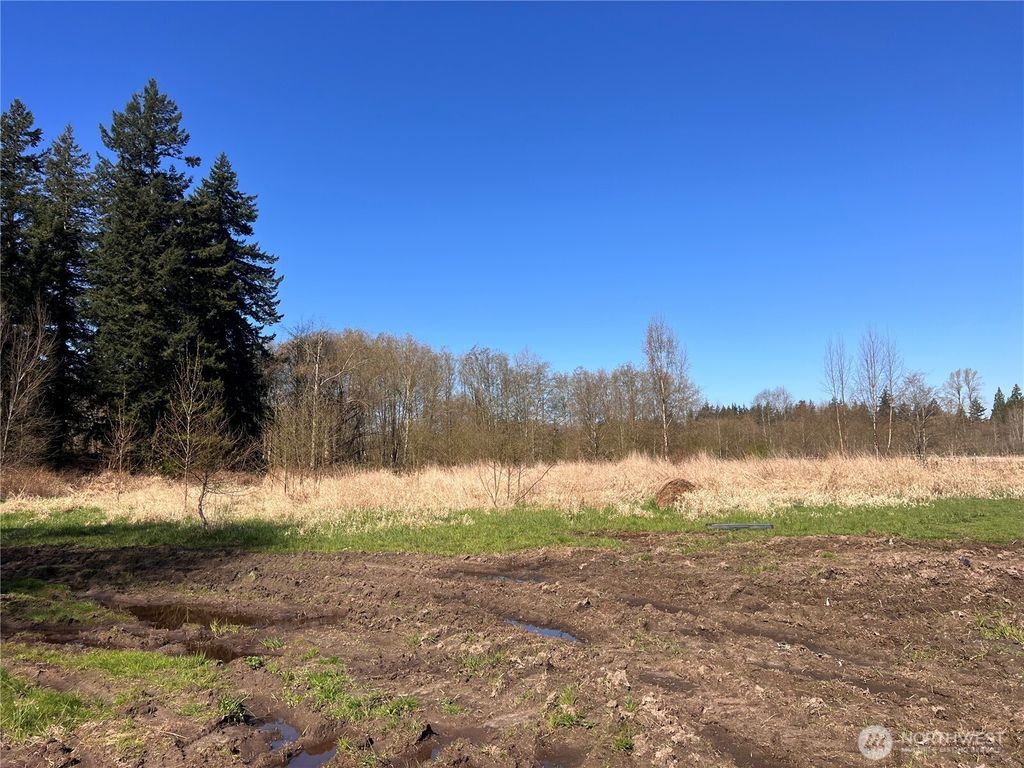 Photo of 8599 Valley View Road, Custer, WA 98240 (MLS # 2504239)