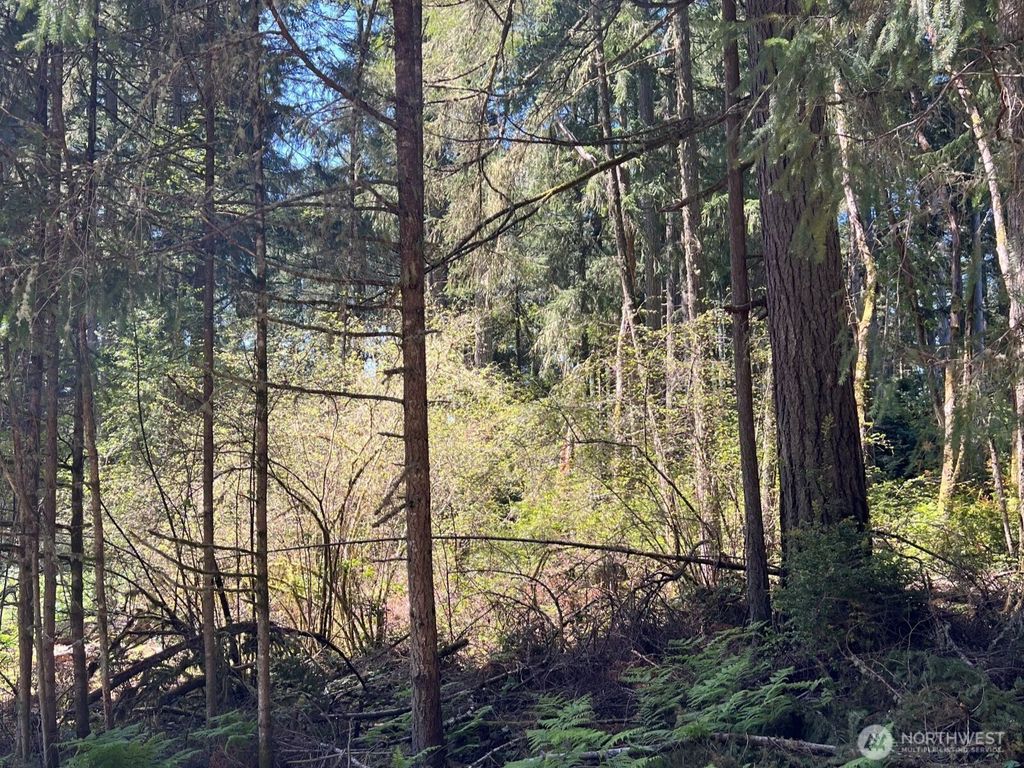 Photo of 10312 Paine Road, Anderson Island, WA 98303 (MLS # 2514377)