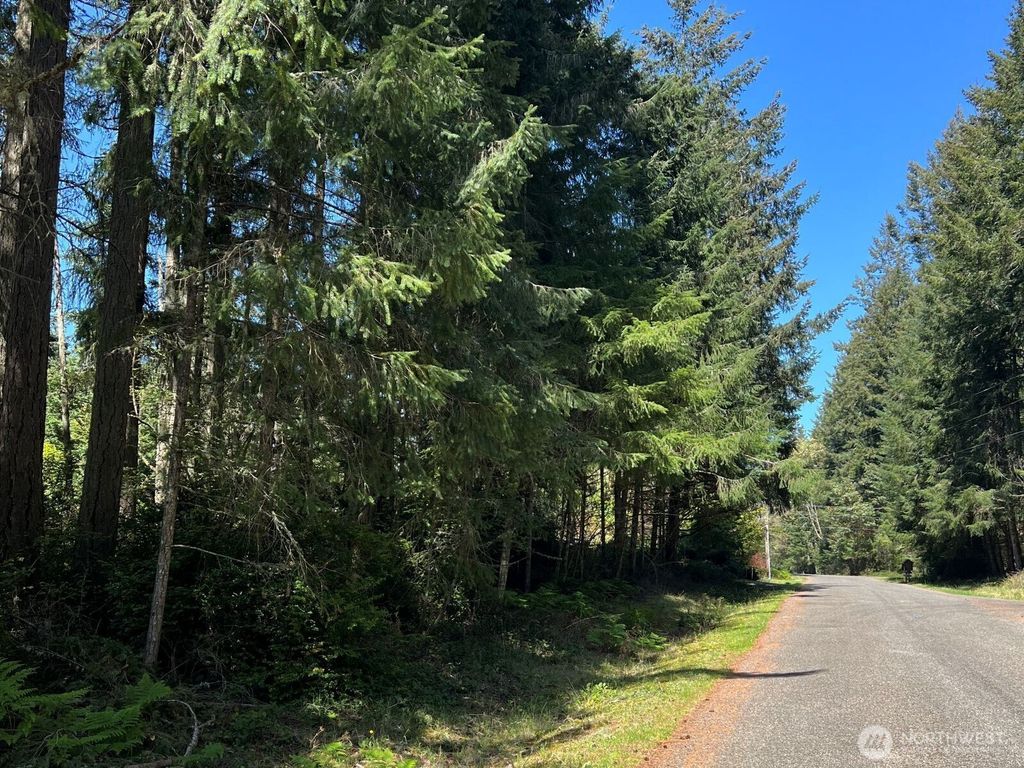 Photo of 10312 Paine Road, Anderson Island, WA 98303 (MLS # 2514377)