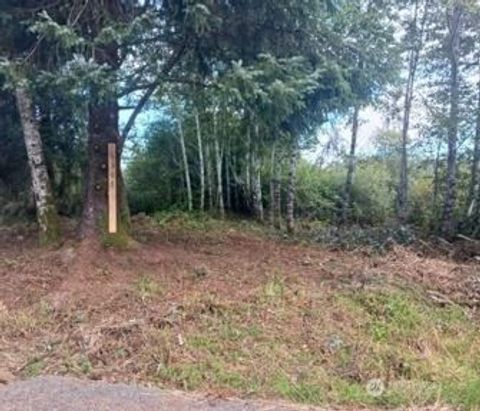 Photo of 1610 147th Place, Long Beach, WA 98631 (MLS # 2393381)