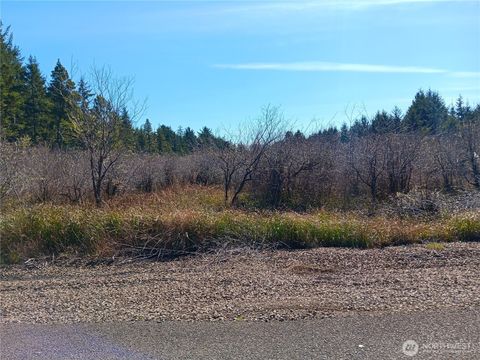 Photo of 1610 147th Place, Long Beach, WA 98631 (MLS # 2393381)