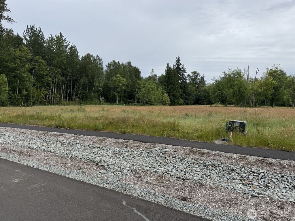 Photo of 17 XX 280th Street NE, Arlington, WA 98223 (MLS # 2545747)
