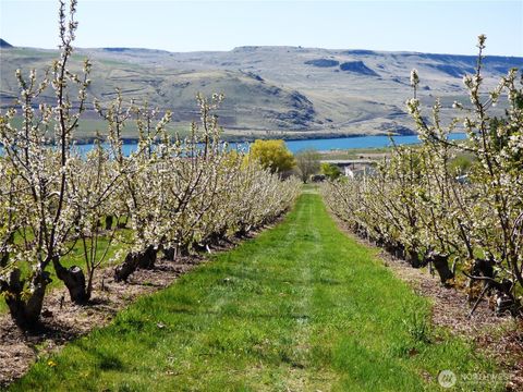 Photo of 501 Jack Wells Road, Bridgeport, WA 98813 (MLS # 2338025)