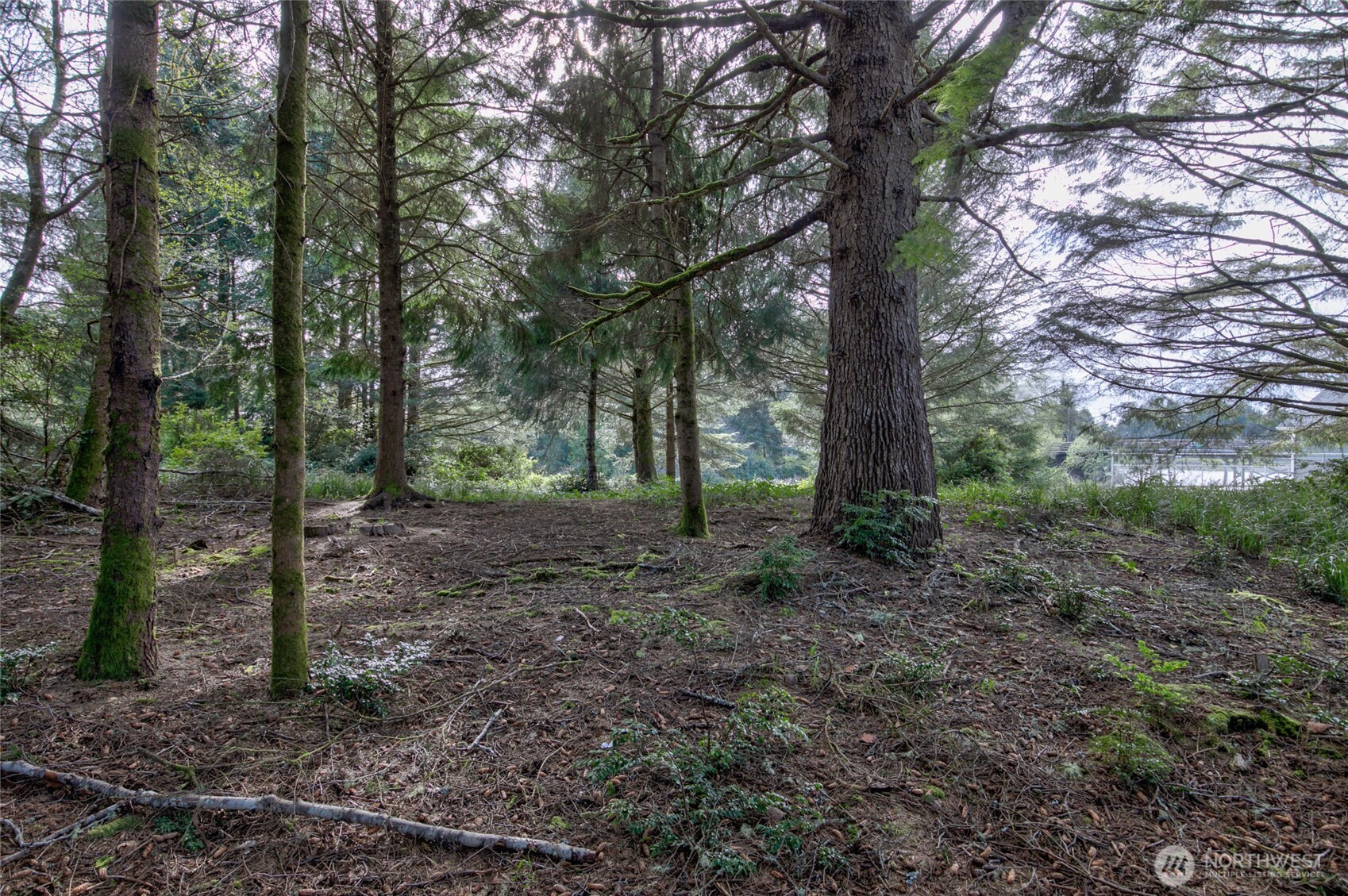 189 Duck Lake Drive NE