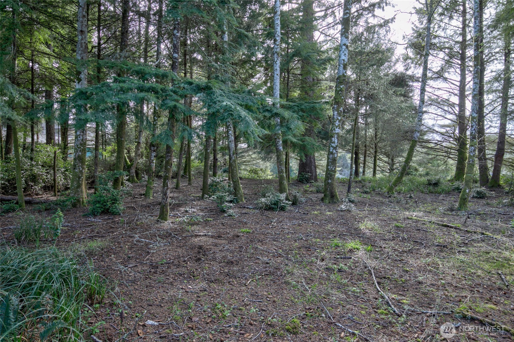 189 Duck Lake Drive NE