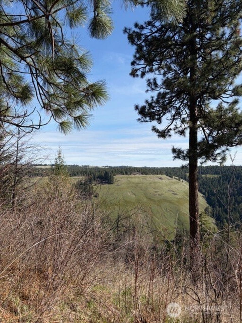 Photo of 6885 Lewis Peak Road, Waitsburg, WA 99361 (MLS # 2504683)