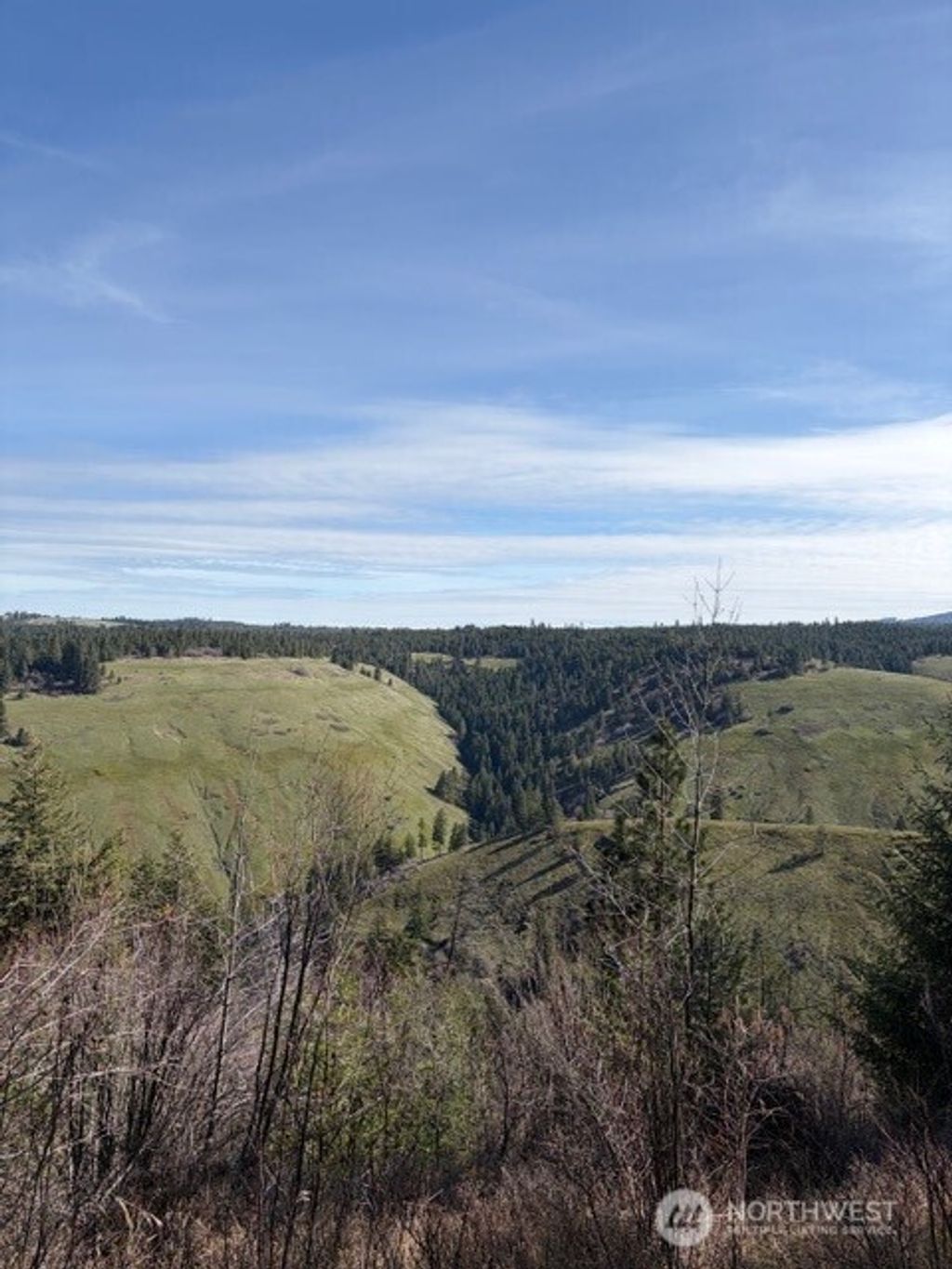 Photo of 6885 Lewis Peak Road, Waitsburg, WA 99361 (MLS # 2504683)