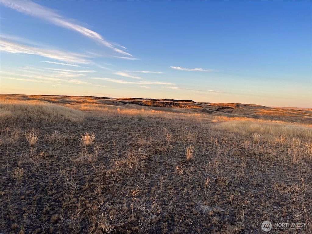 Photo of 45 Eagle Springs Ranch, Wilson Creek, WA 98860 (MLS # 2494080)