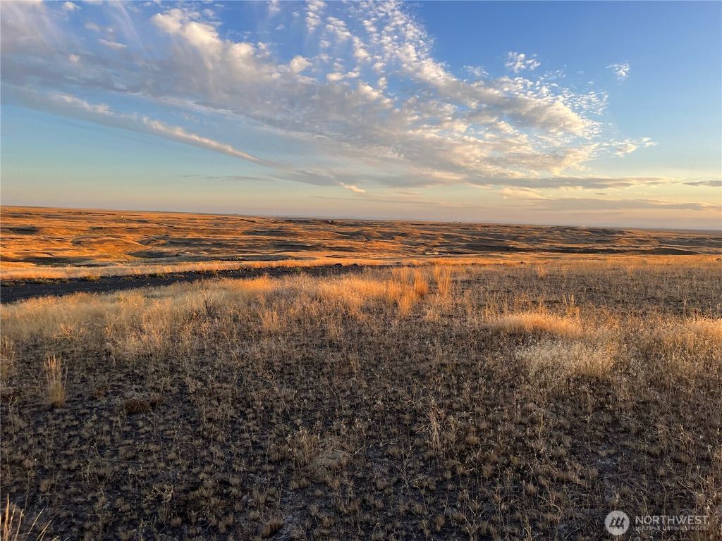 Photo of 45 Eagle Springs Ranch, Wilson Creek, WA 98860 (MLS # 2494080)