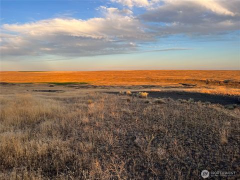 Photo of 45 Eagle Springs Ranch, Wilson Creek, WA 98860 (MLS # 2494080)